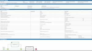 Информация экземпляра исполняемого бизнес-процесса